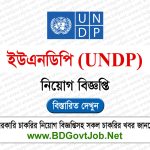 UNDP NGO Job Circular 2024